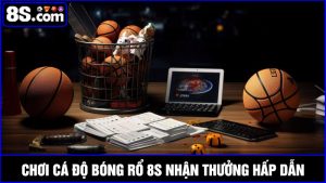 cá độ bóng rổ 8S