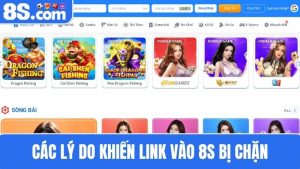 lý do khiến Link vào 8S bị chặn