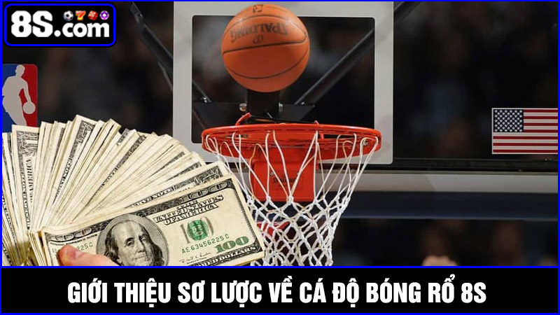 cá độ bóng rổ 8S