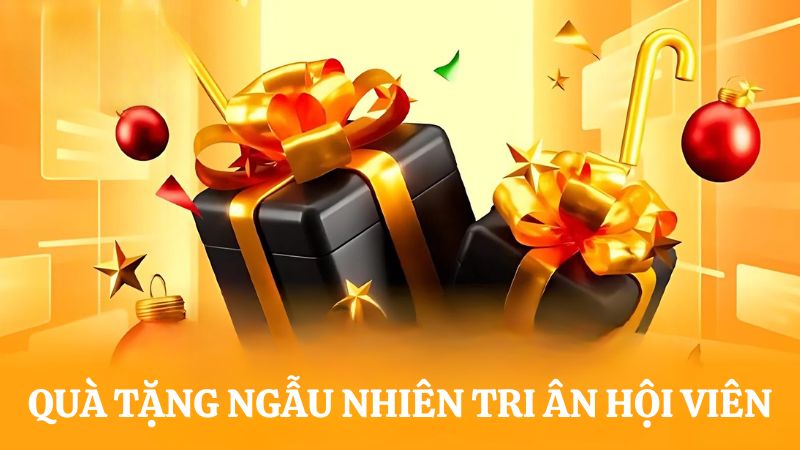 Khuyến mãi 8S tri ân hội viên